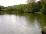 Rybníky v Bohuslavicích